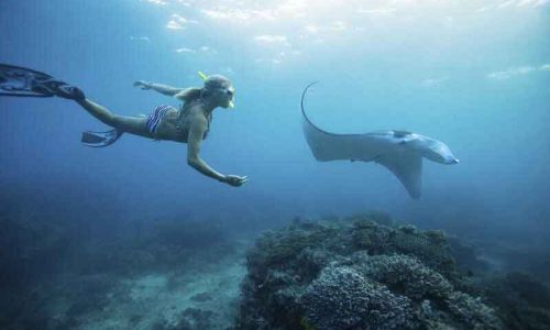 NS 2 SNORKELING